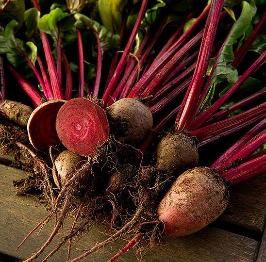 Root crop image used for source review context