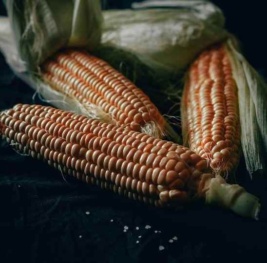 Crop image used to review growth stage