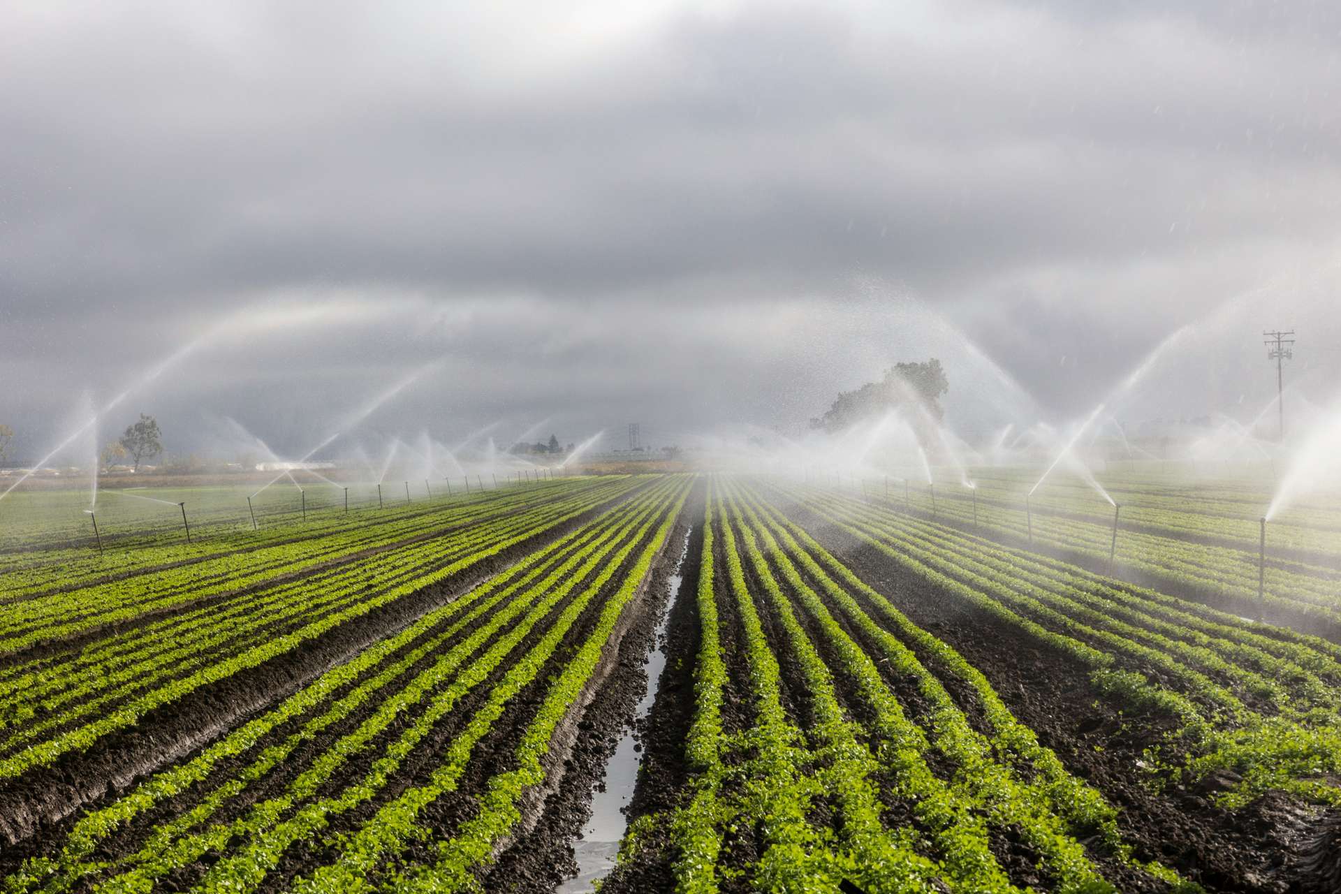ProGreen Ag
